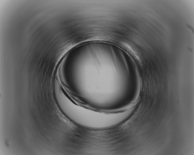 X0000096461276200801311504