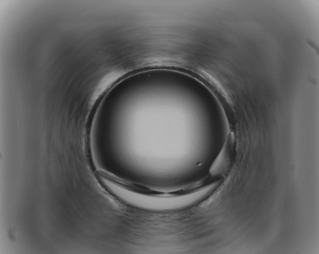 X0000096461277200801311504