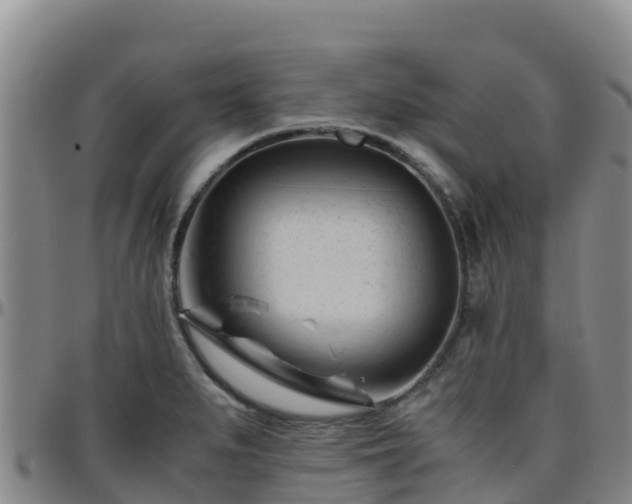 X0000096461279200801311504