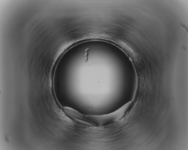X0000096461280200801311504