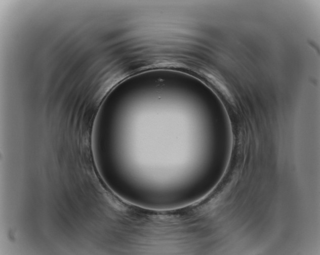 X0000096461281200801311504