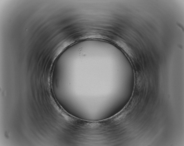 X0000096461282200801311504