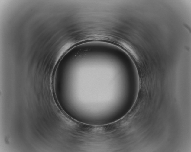 X0000096461283200801311504