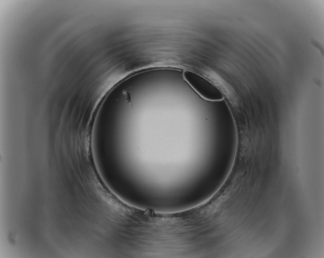 X0000096461284200801311504