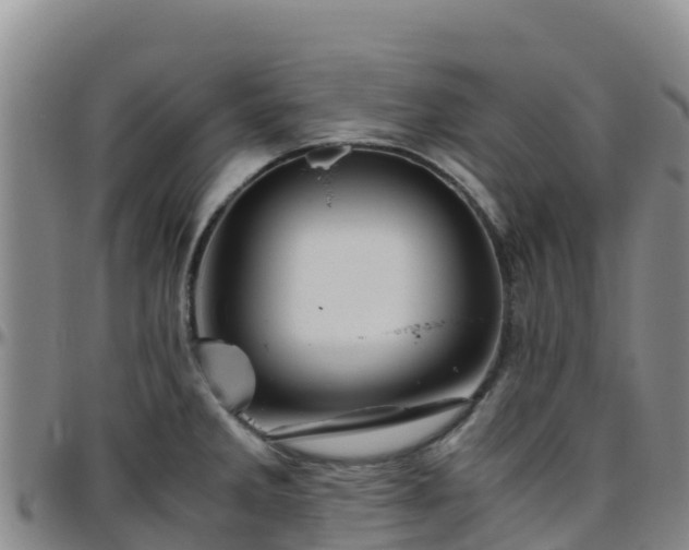 X0000096461285200801311504
