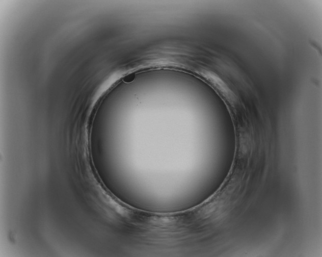 X0000096461286200801311504