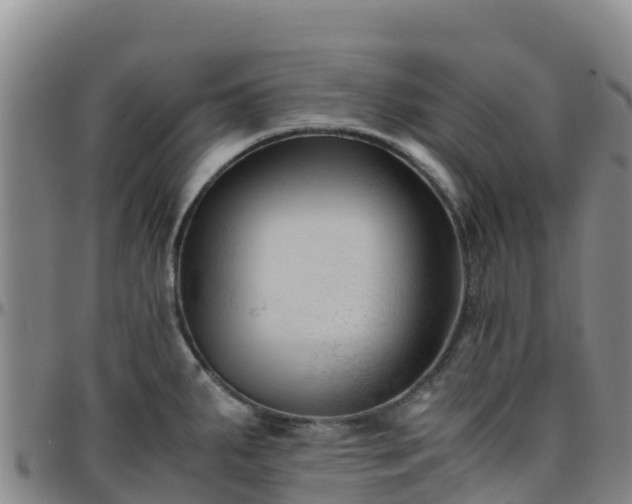 X0000096461287200801311504