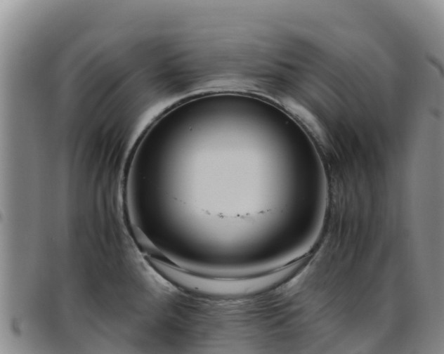 X0000096461288200801311504