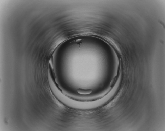 X0000096461289200801311504