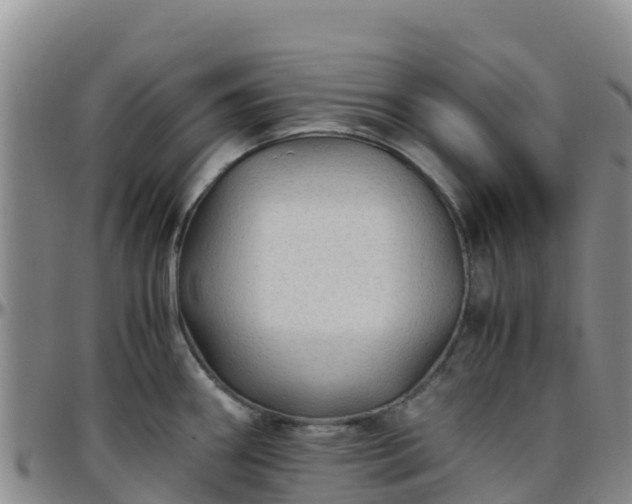 X0000096461290200801311504