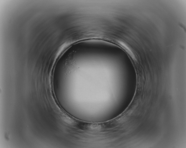 X0000096461291200801311504