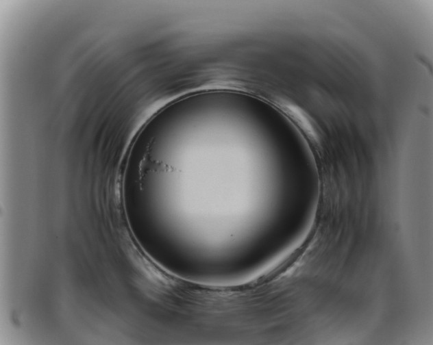 X0000096461292200801311504