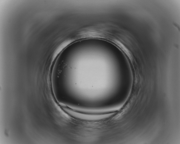 X0000096461293200801311504