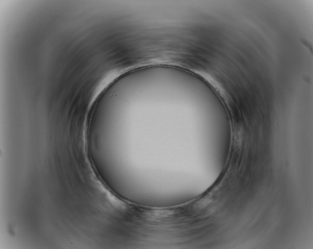 X0000096461294200801311504