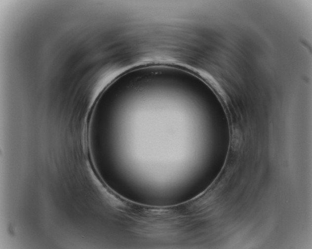 X0000096461295200801311504