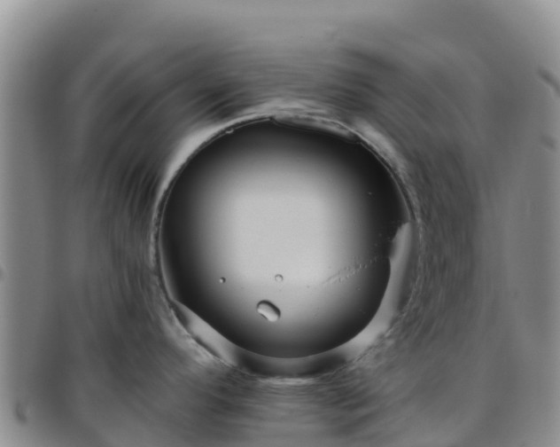 X0000096461296200801311504
