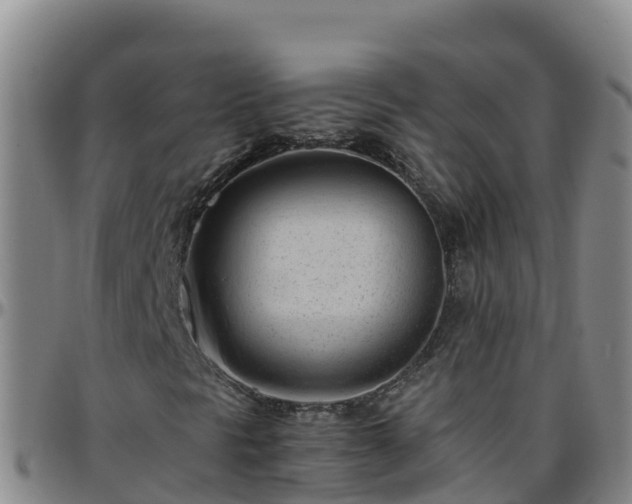 X0000096461297200801311503