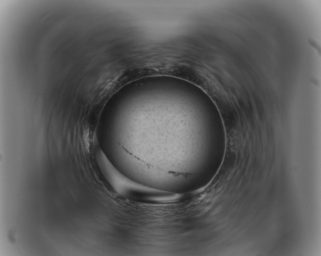 X0000096461298200801311503