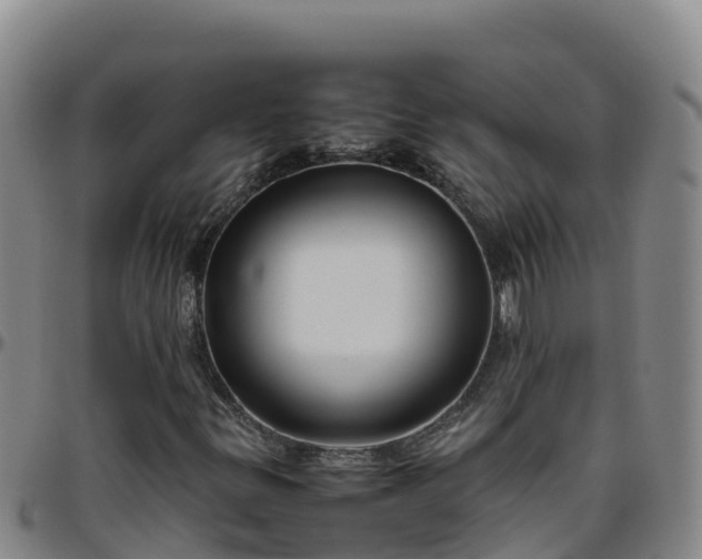 X0000096461299200801311503