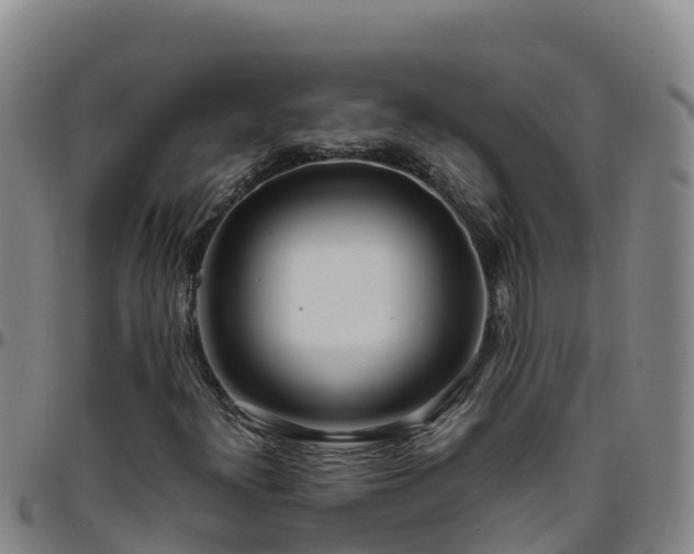 X0000096461300200801311503
