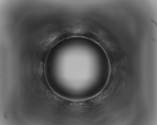 X0000096461301200801311503