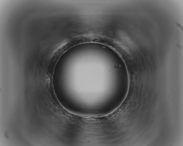 X0000096461302200801311503