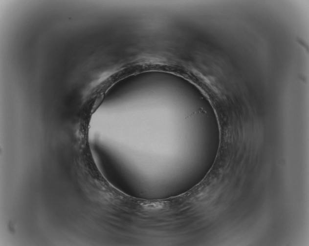 X0000096461303200801311503