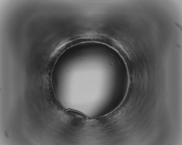 X0000096461304200801311503