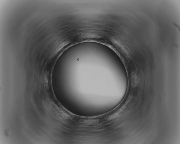 X0000096461305200801311503