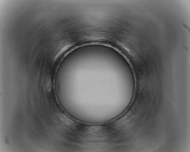 X0000096461306200801311503