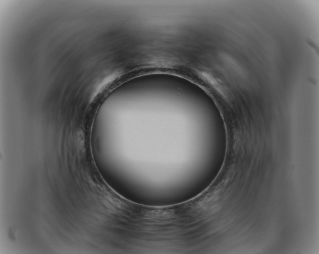 X0000096461307200801311503