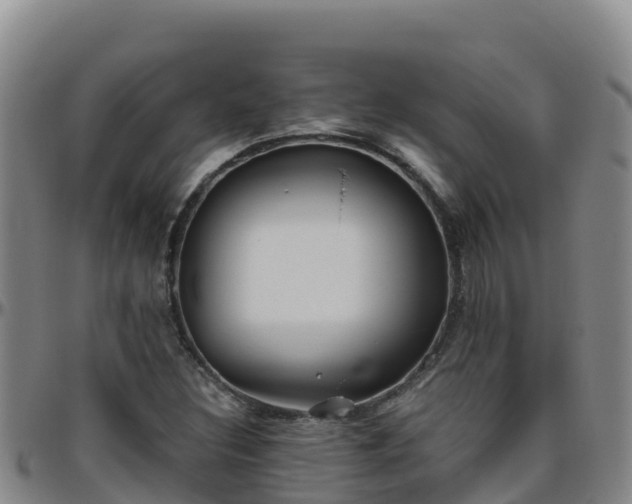 X0000096461308200801311503