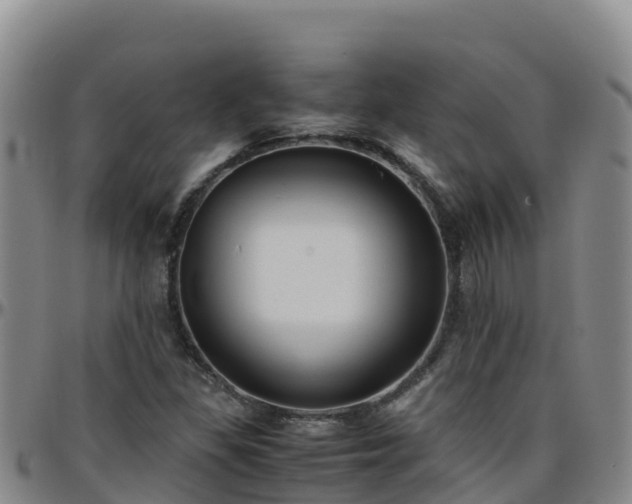 X0000096461309200801311503
