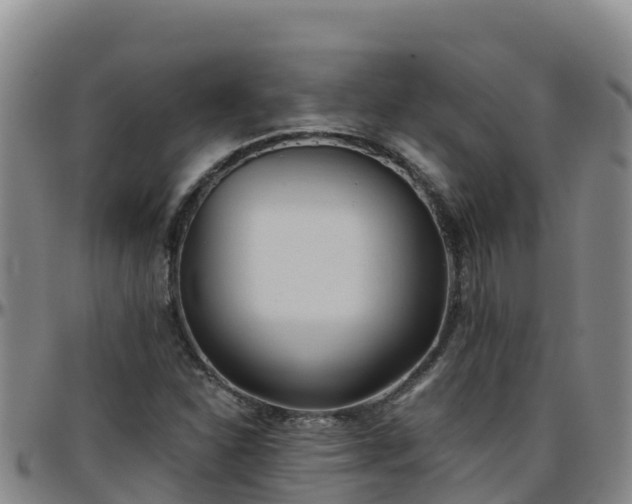 X0000096461310200801311503