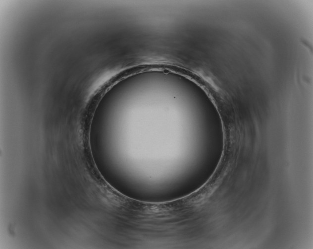 X0000096461311200801311503