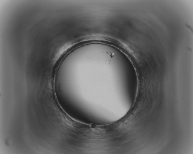X0000096461312200801311503