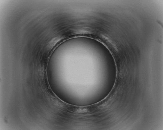 X0000096461313200801311503