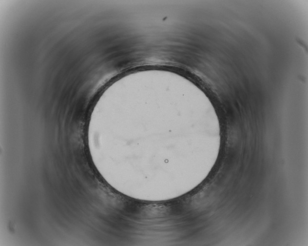 X0000096461314200801311503