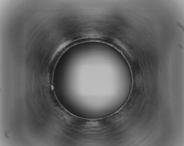 X0000096461315200801311503
