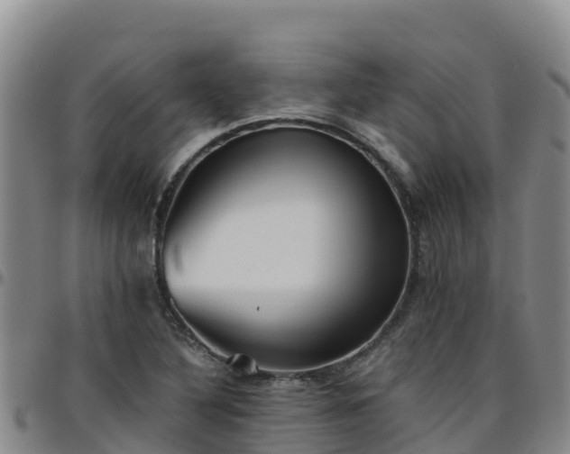 X0000096461316200801311503