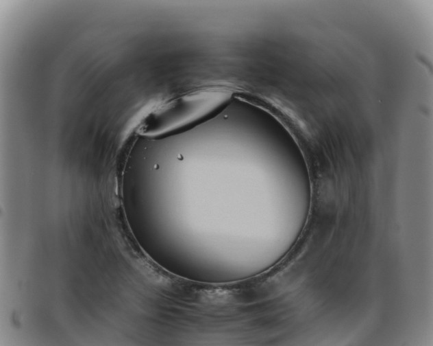 X0000096461317200801311503