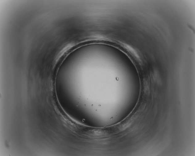 X0000096461318200801311503