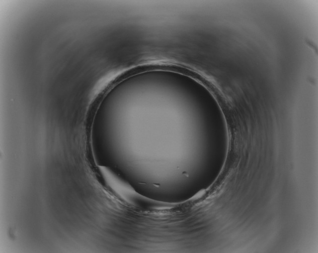 X0000096461319200801311503