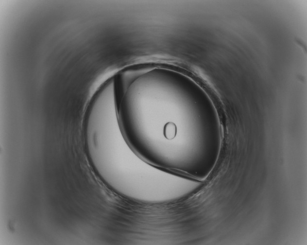 X0000096461320200801311503