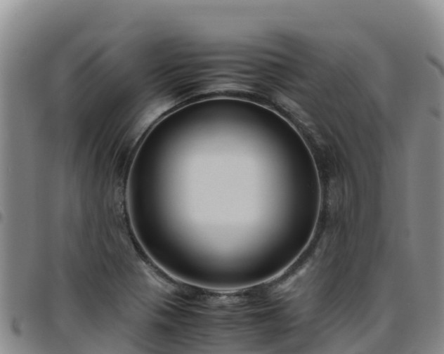 X0000096461321200801311503