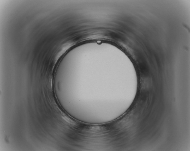 X0000096461322200801311503