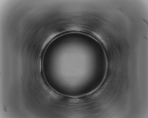X0000096461323200801311503