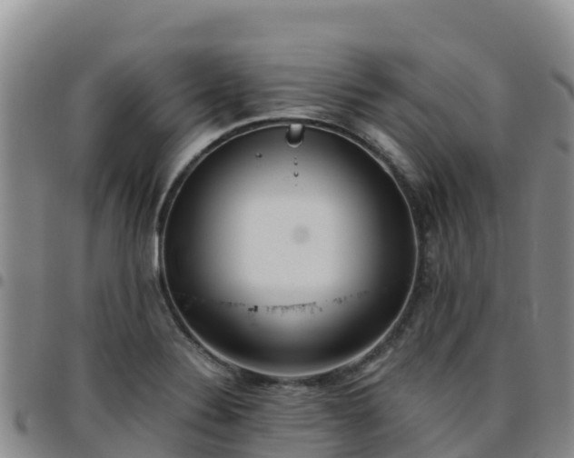 X0000096461324200801311504