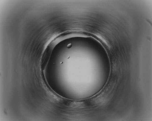 X0000096461325200801311504