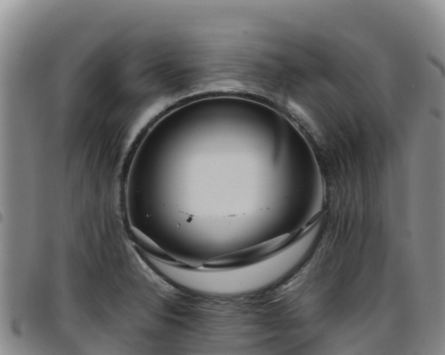 X0000096461326200801311504